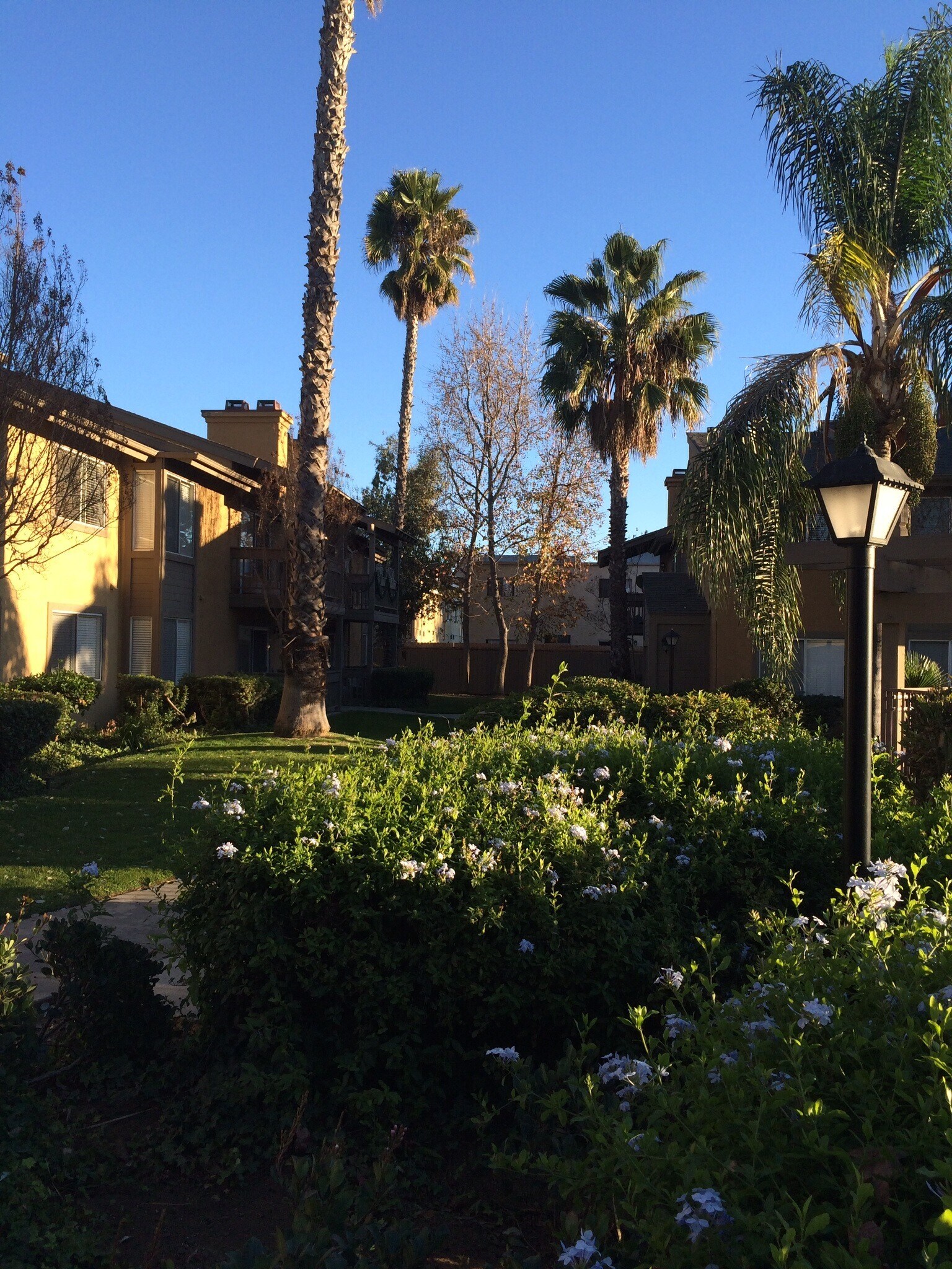 Building Photo - 1101 Chestnut St