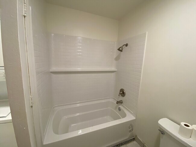 TUB AND SHOWER - 1132 Parkview Street
