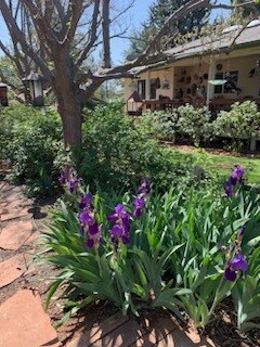 Building Photo - 70 Red Fox Ln