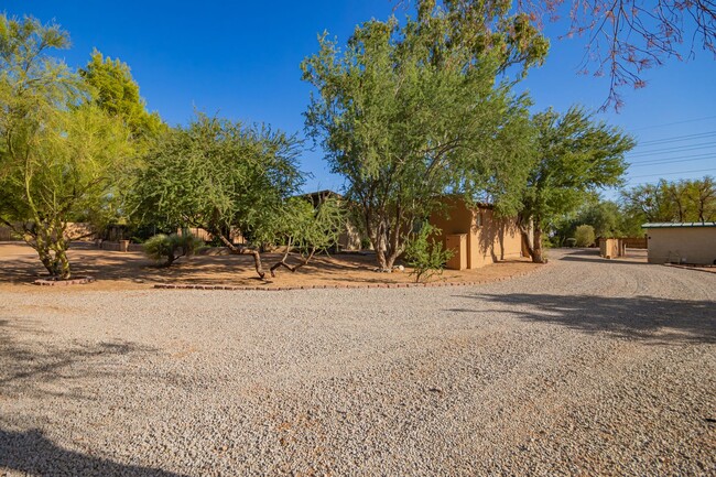 Building Photo - Cave Creek, AZ Rental Listing