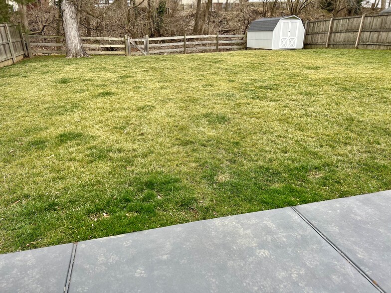 Back Yard - 741 Marshall Dr
