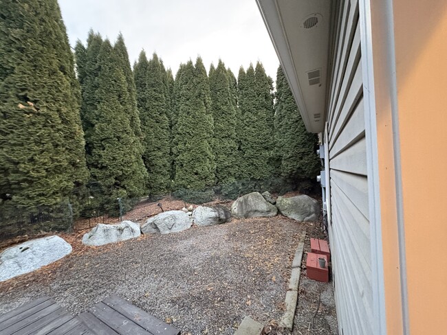 Backyard, low maintenance - 1027 S Evergreen Rd