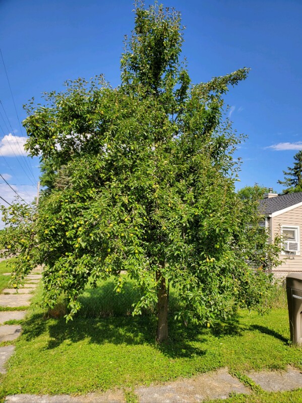 Building Photo - 2925 Colorado Ave