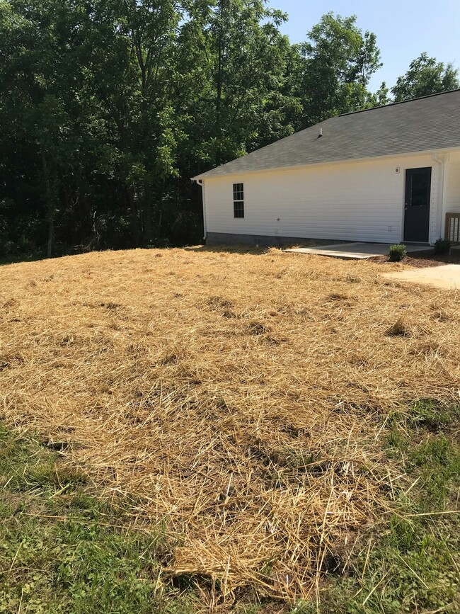 Building Photo - 1556 Co Rd 616