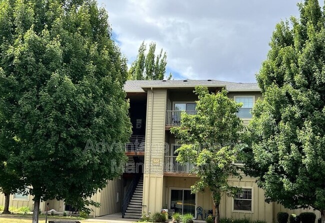 Building Photo - 501 Catron Pl