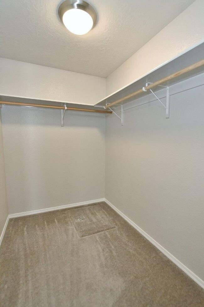 Building Photo - Clean Single-Level Home