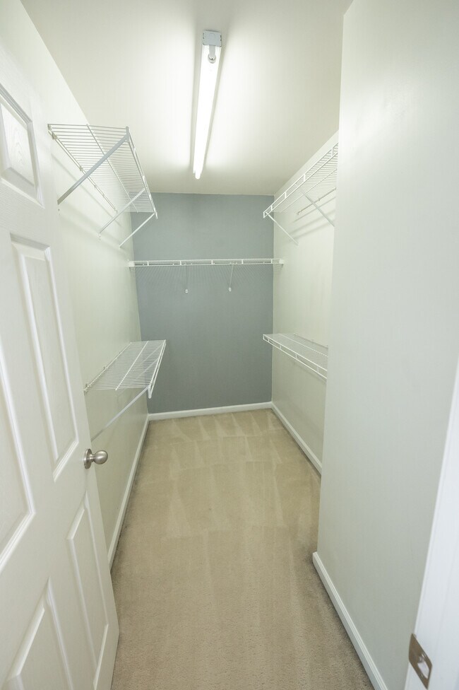 Massive walk in closet with plenty of light - 2922 Duvalla Ave