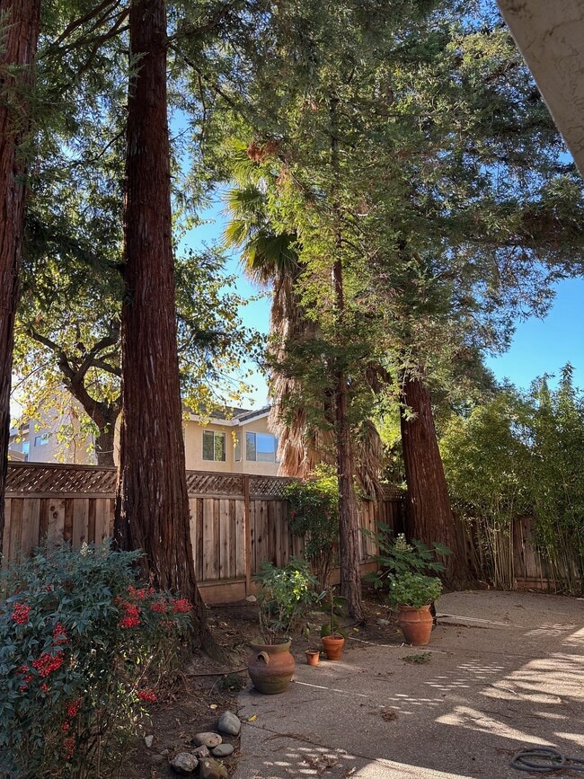 Building Photo - 7861 Paseo Santa Cruz