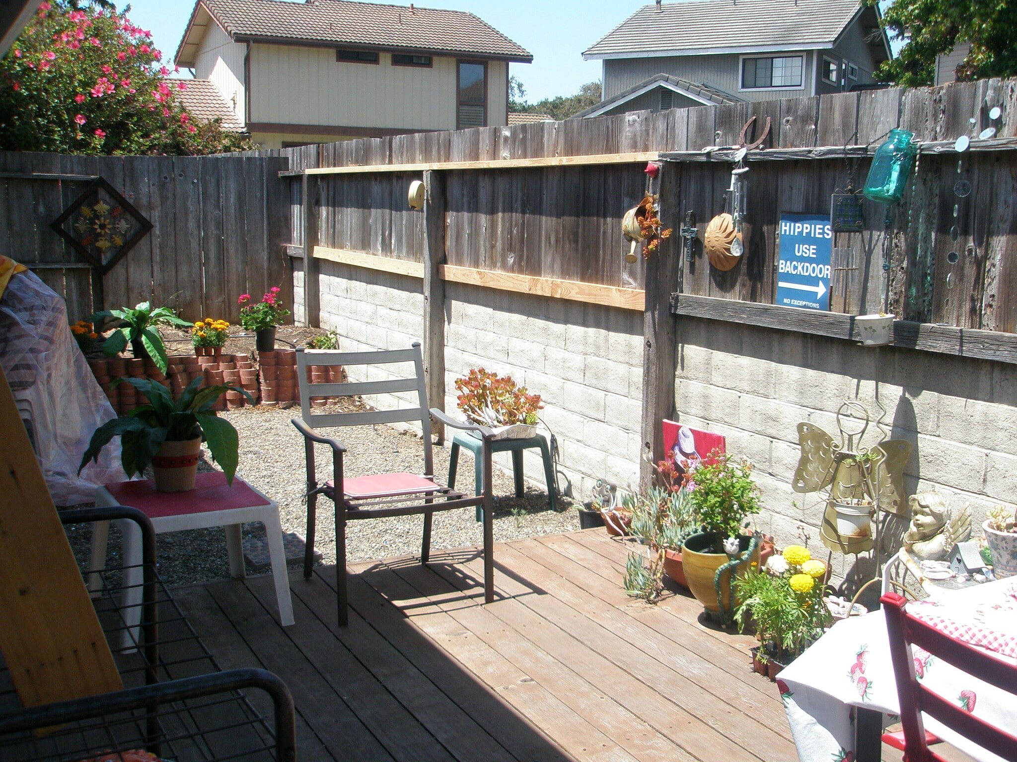 Backyard- now lush green! - 1945 La Jolla Ct