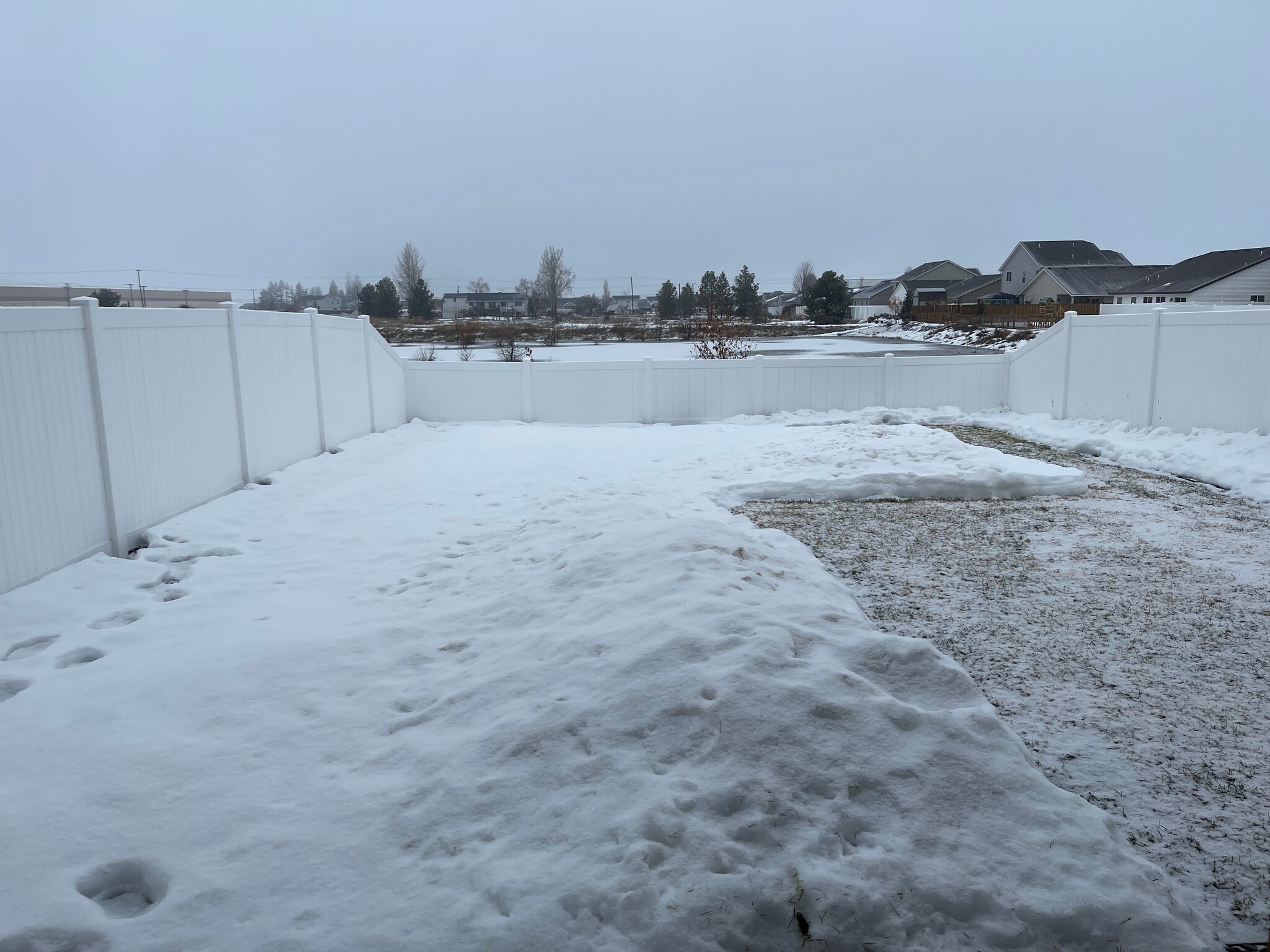Backyard from Concrete Patio - 9010 W Winona Rd