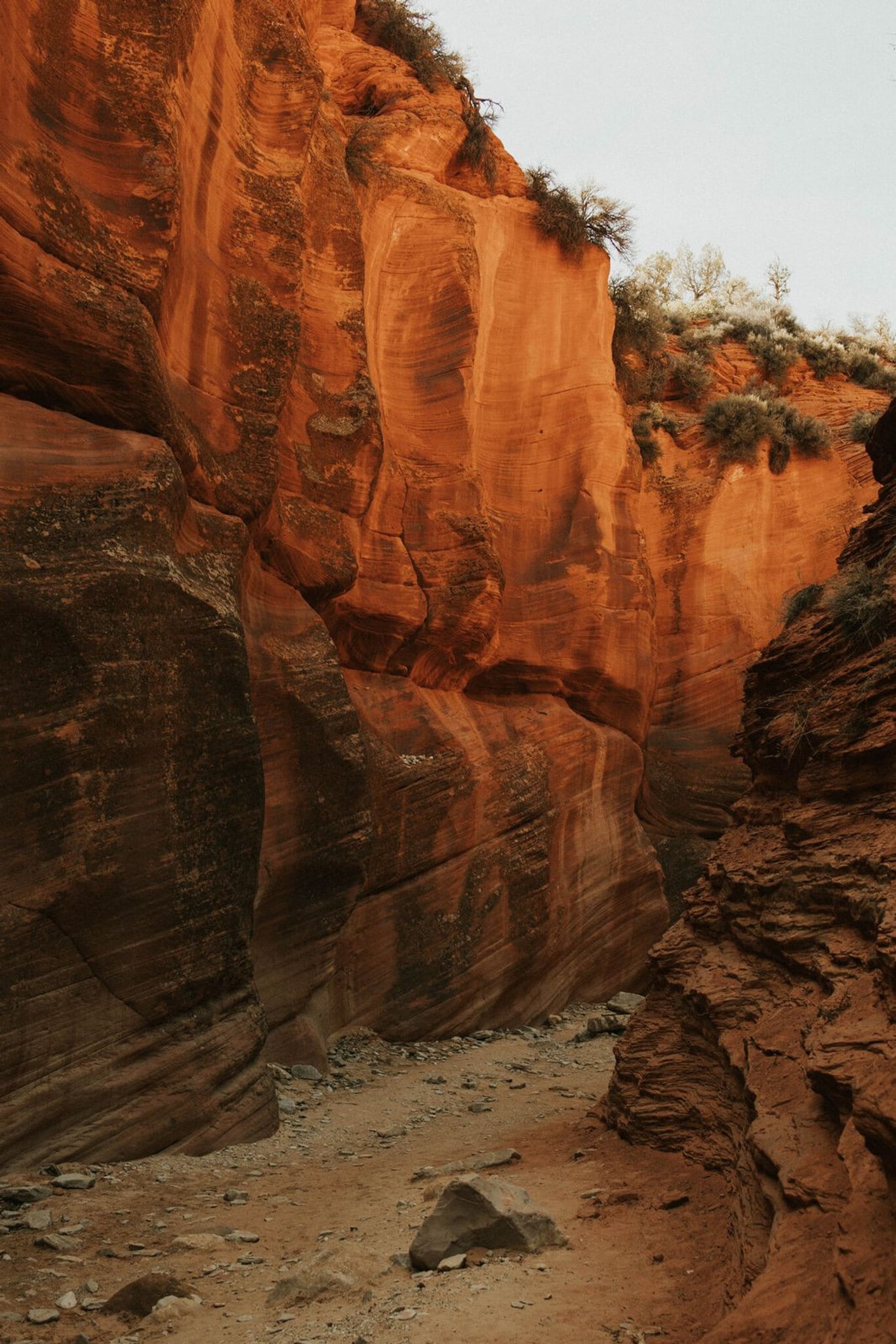 Building Photo - 523 W Vance Dr