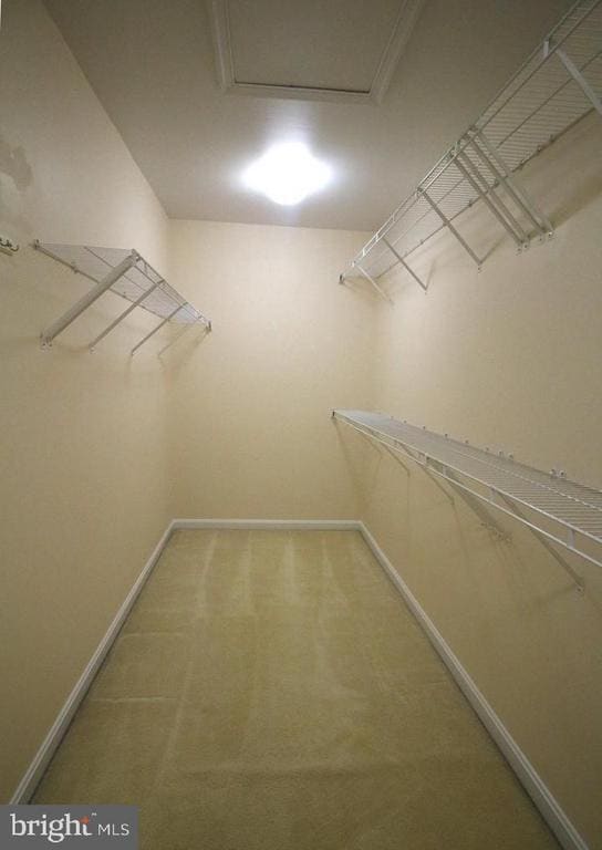 Building Photo - 5035 Cool Fountain Ln