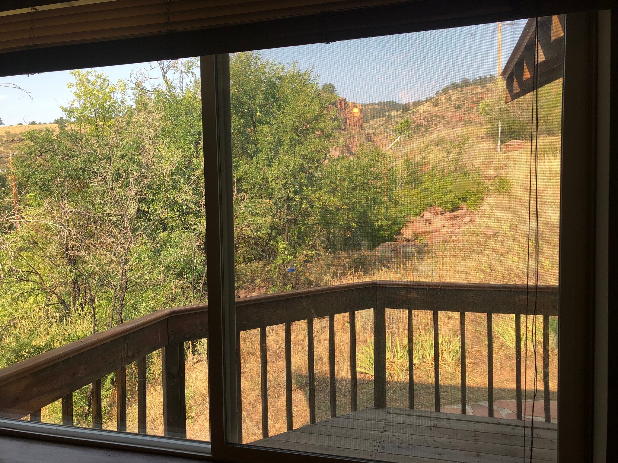 Outside deck view to park - 511 5th Ave