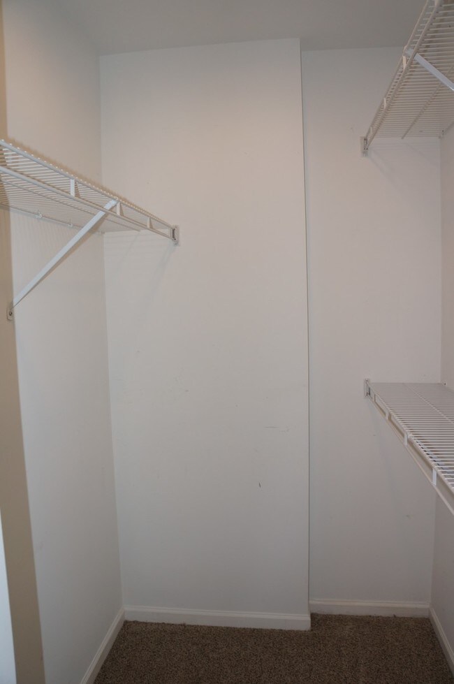 Building Photo - 693 Savannah Ln