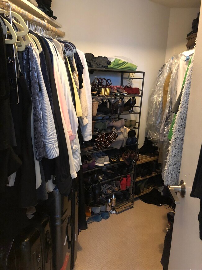 Master walk-in closet - 1808 Manning Ave
