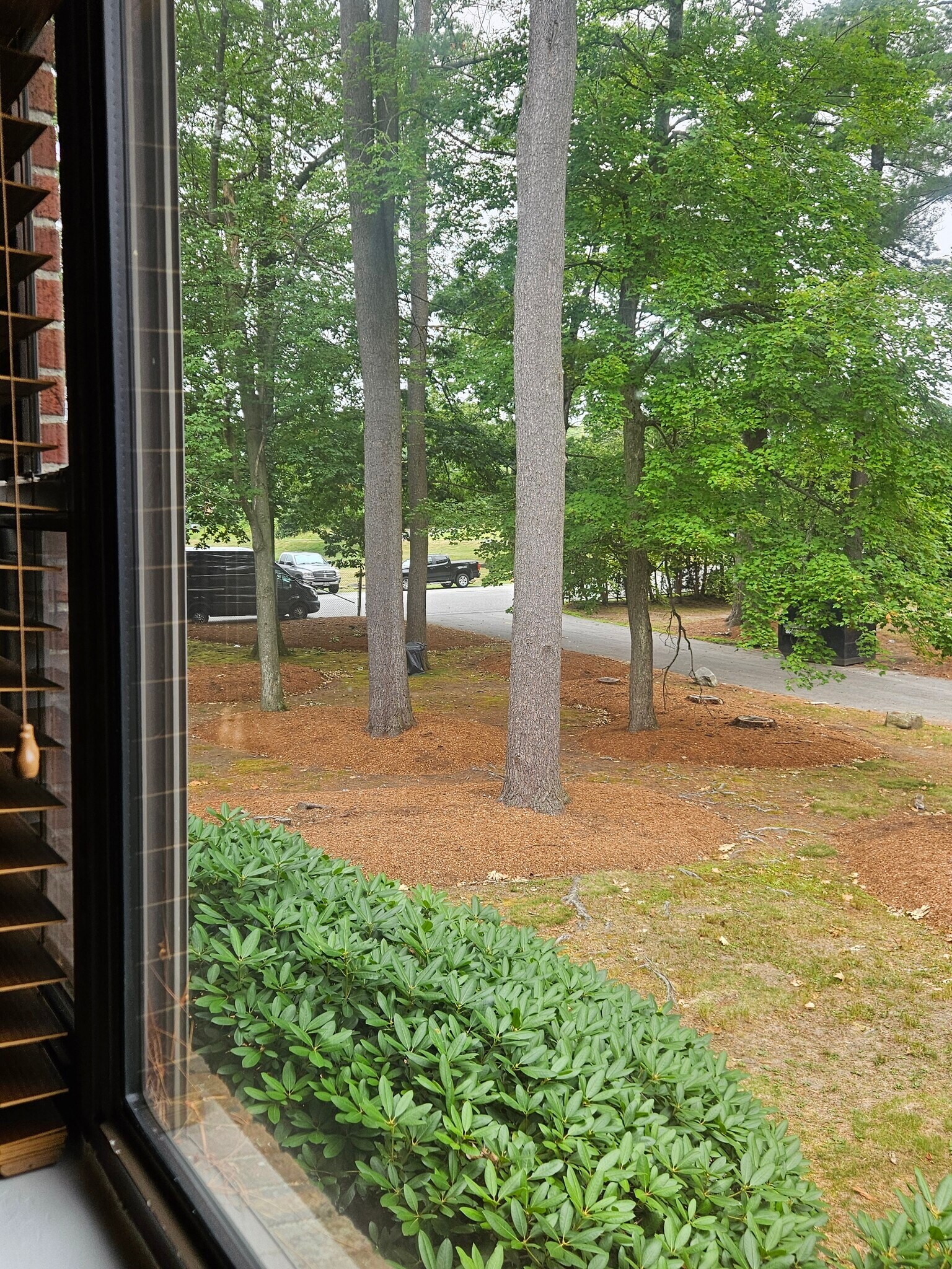 Outside view from the living room - 4 Brook Rd