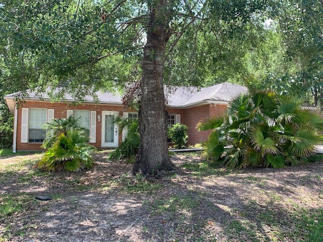 Primary Photo - 556 Aila St