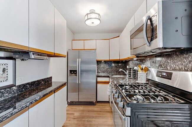 Building Photo - Chicago Gorgeous 2bedr 2bath Spacious Condo
