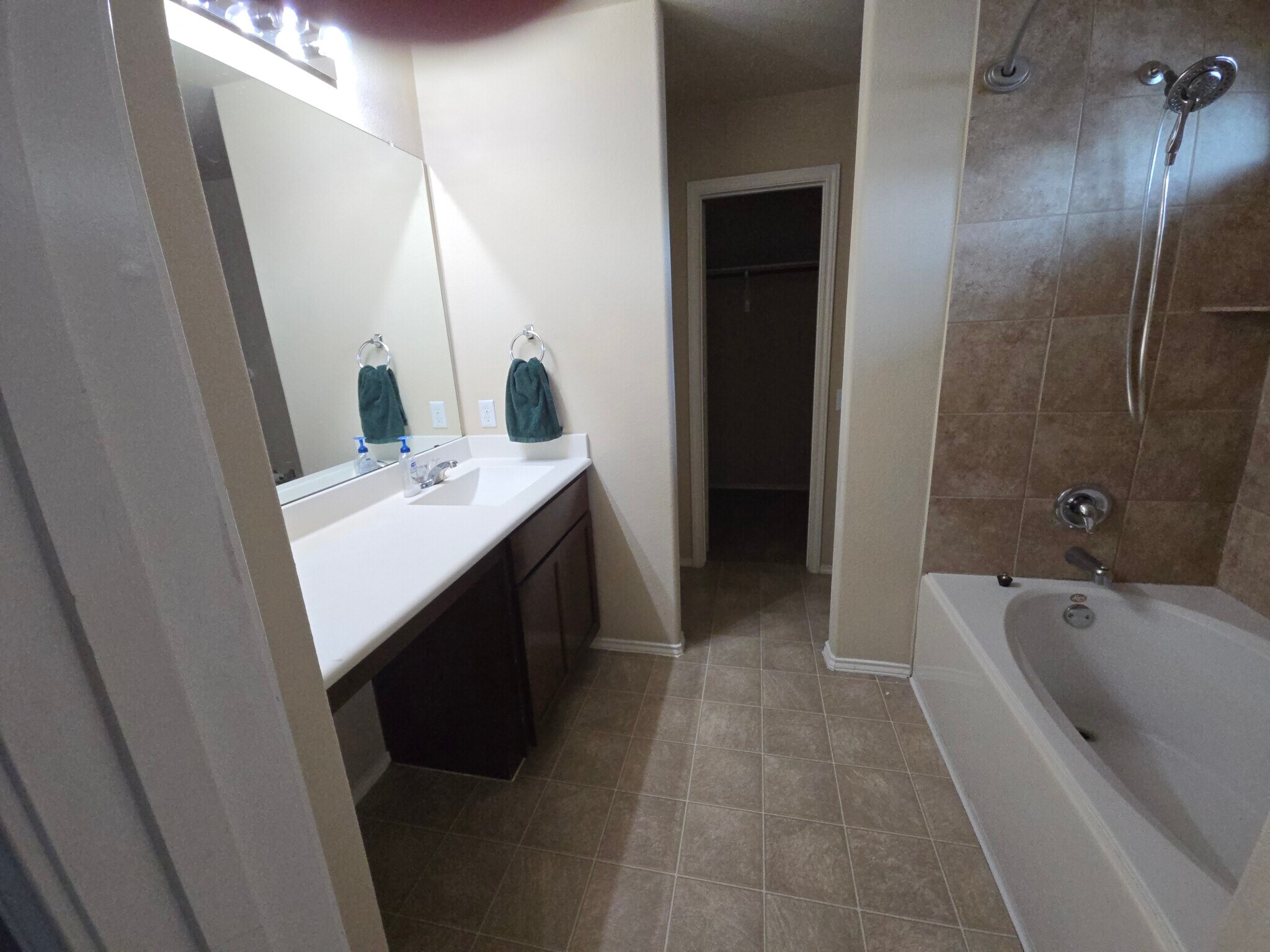 Master bathroom - 10116 Deer Chase Trl