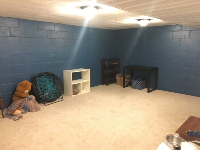 lower level family room - 620 114th Ln NE