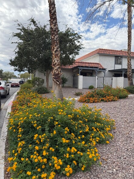 Building Photo - 925 Willow Tree Dr