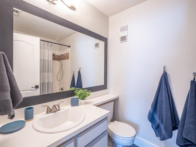 Building Photo - 6000 Shepherd Mountain Cove