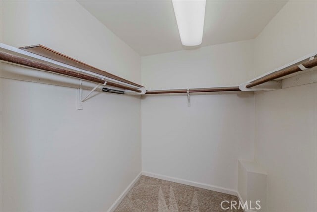 Building Photo - 1113 Steinhart Ave