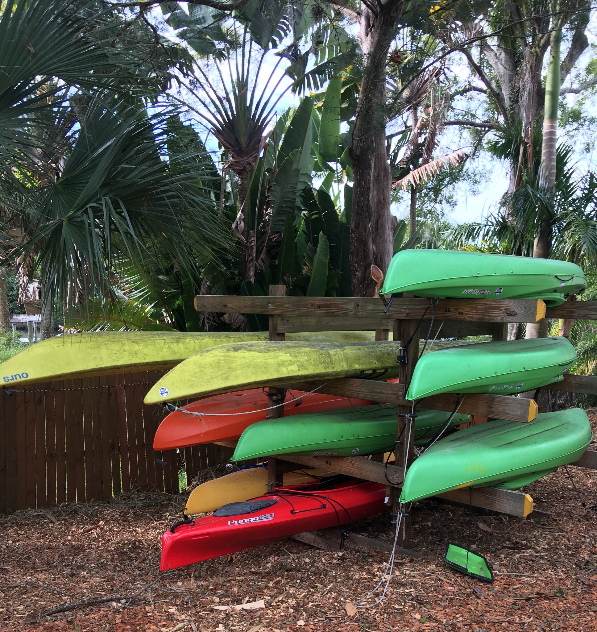 kayak available - 850 S Tamiami Trl