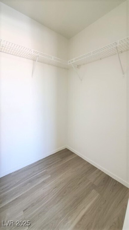 Building Photo - 2141 Hussium Hills St