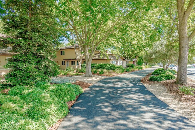 Building Photo - Fully Updated 2 Bedroom 1 Bath Condo
