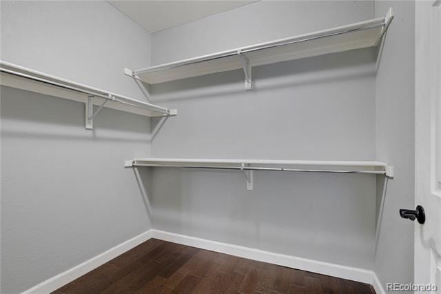 Building Photo - 10096 Bluffmont Ln