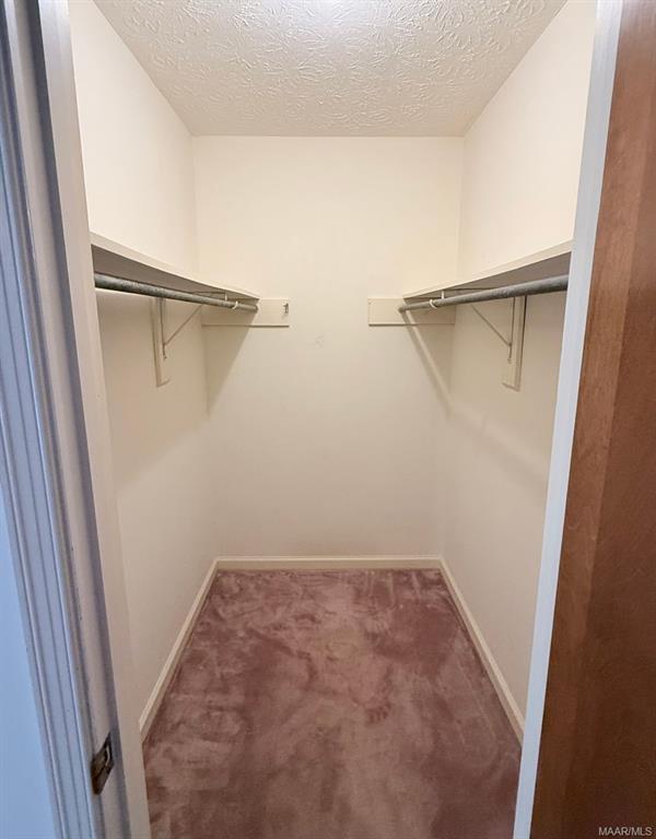 Building Photo - 710 Summer Ln