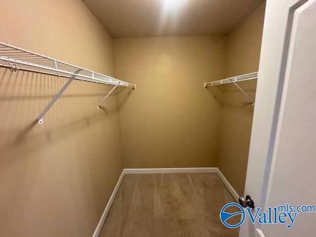 Building Photo - 149 Hazel Trace