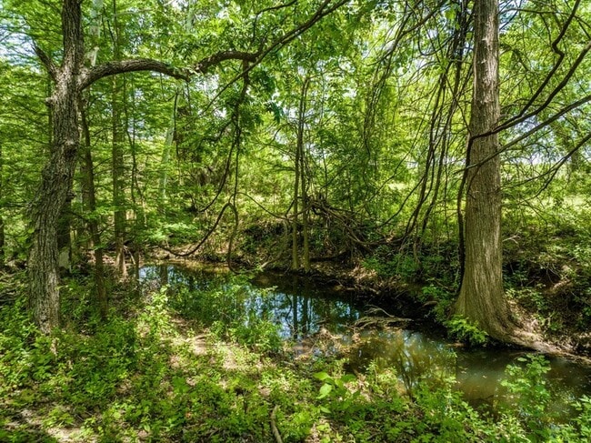 Building Photo - 800 Spur 191