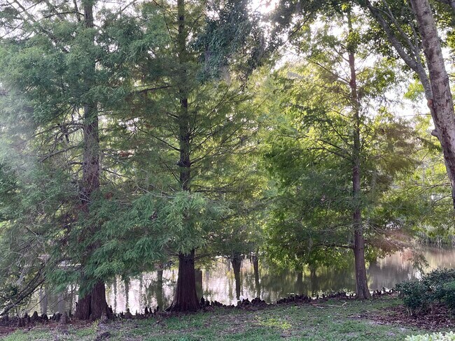 Building Photo - 14467 Mirabelle Vista Cir