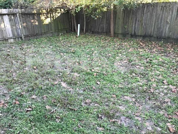 Building Photo - 2920 La Estancia Ln