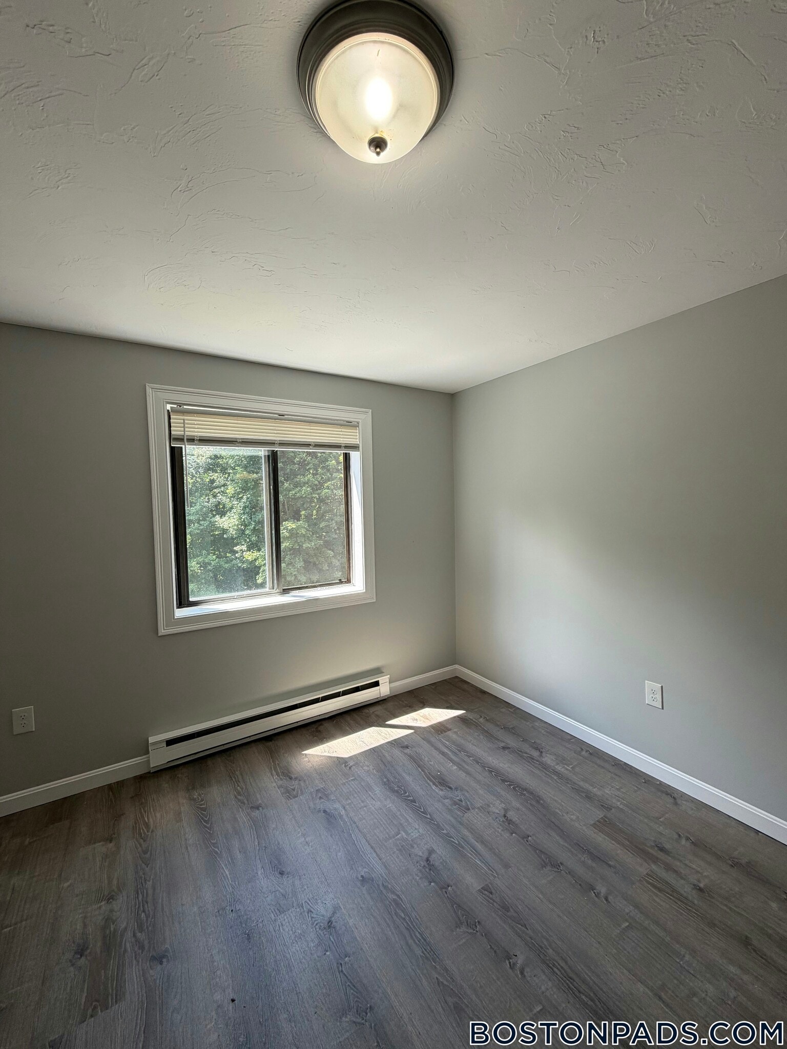 Building Photo - 433 Sunderland Rd
