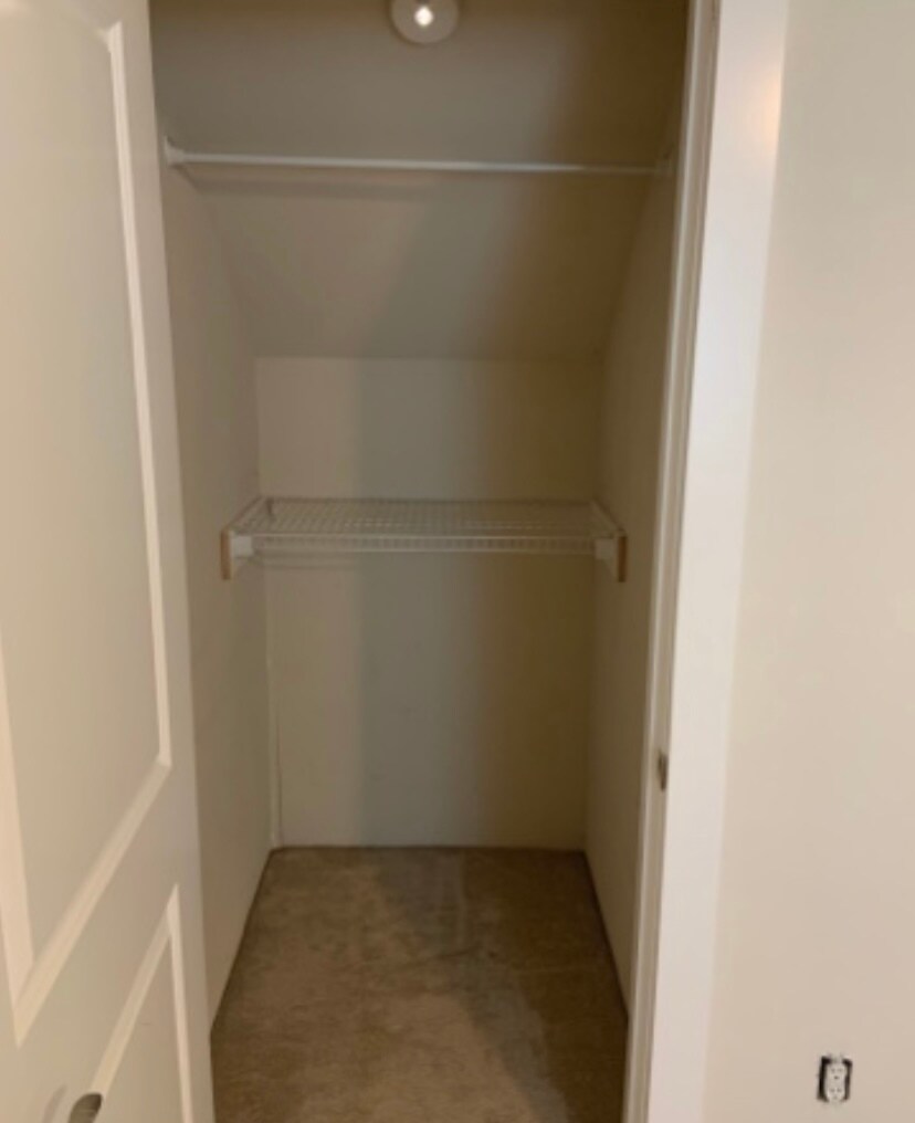 Bedroom Closet 1 - 823 E Lakeshore Dr