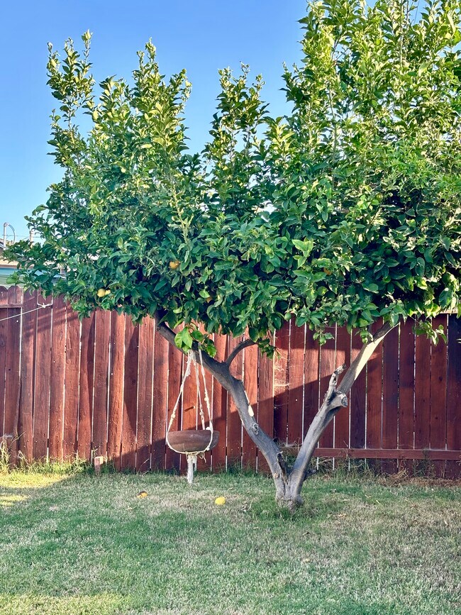 Building Photo - 1333 Currant Ave