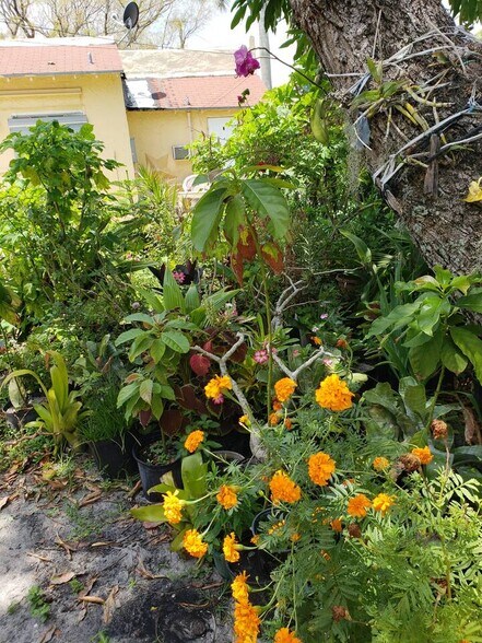 Building Photo - 1922 Jefferson St