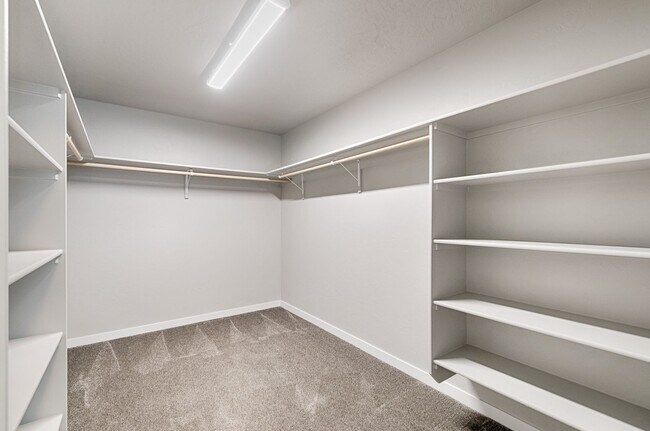 Building Photo - Custom Hunter-Douglas shutters throughout.