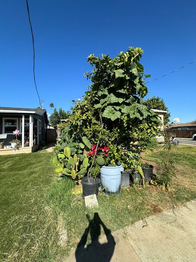 Building Photo - La Habra Duplex
