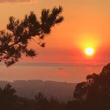 Building Photo - Peaceful Condo with Stunning Sunset & Ocea...
