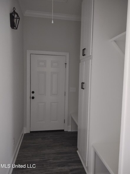 Building Photo - 843 Long Leaf Cir