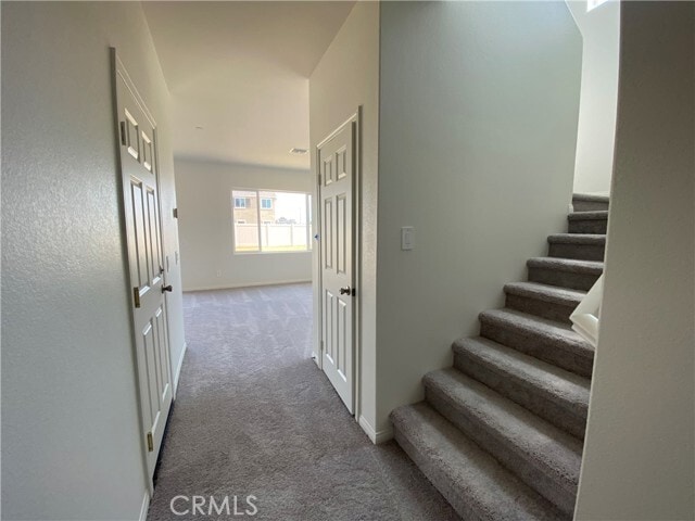 Building Photo - 28438 Joey Ct