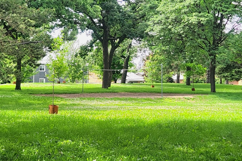 Building Photo - 1038 Summer St NE