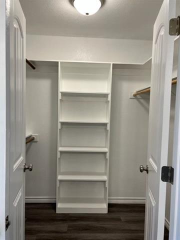 Building Photo - 2876 Melissa Ln