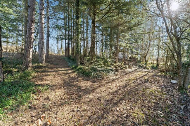 Building Photo - 7755 Cully Ln