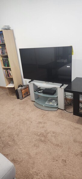View#18 of downstairs livingroom - 2116 Thaler Ave