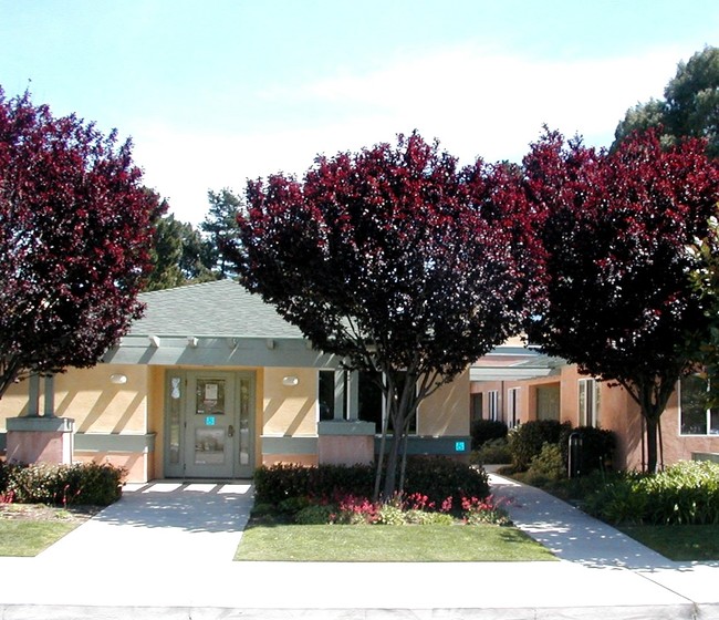 Cawelti Court 351 S Elm St Arroyo Grande CA 93420 Apartment Finder Cawelti Court 351 S Elm St Arroyo Grande CA 93420 Apartment Finder